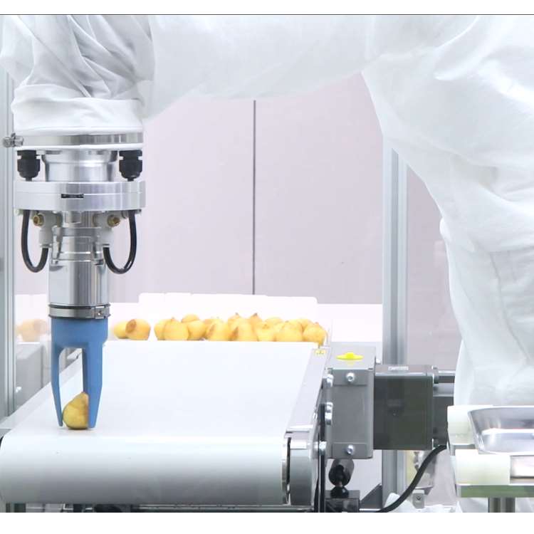 6-Axis CNC Robotic Arm with Li - đánh giá và giá Linear Rail